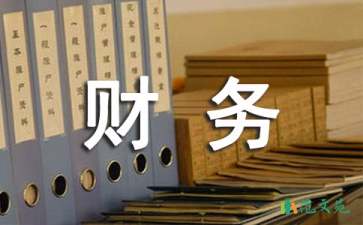 財(cái)務(wù)個(gè)人工作總結(jié)