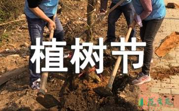 植樹節(jié)活動策劃(集合15篇)