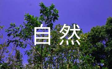 《大自然的語(yǔ)言》優(yōu)秀教案