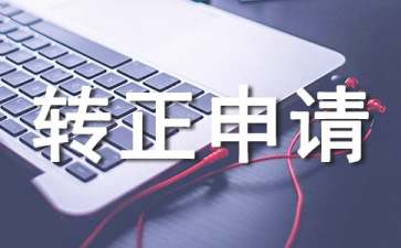 標(biāo)準(zhǔn)個(gè)人轉(zhuǎn)正申請(qǐng)書