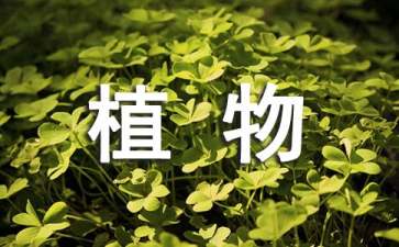 植物學(xué)實(shí)習(xí)報(bào)告15篇