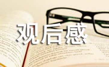 《今日說法》觀后感