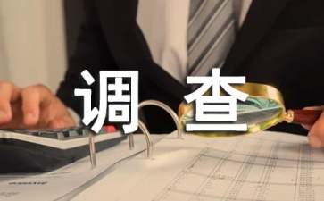 小學生錯別字調查報告