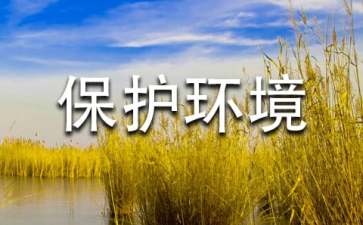 保護(hù)環(huán)境,人人有責(zé)建議書