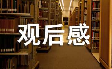 2022年關(guān)于北京冬奧會(huì)優(yōu)秀觀后感（精選16篇）