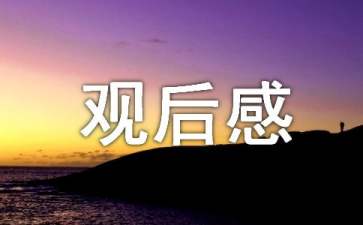 2022冬殘奧會觀后感200字